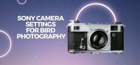 Sony Camera Settings for Bird Photography